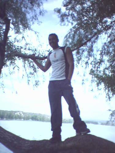 amine le vampire